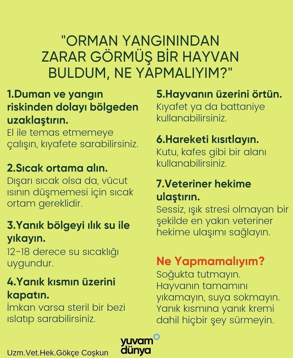 iremdklr's tweet photo. Lütfen ilk müdahaleleri doğru yapalım #helpturkey #bodrumyanıyor #ıspartayanıyor #hisarönüyanıyor https://t.co/qFXqLRlYQN