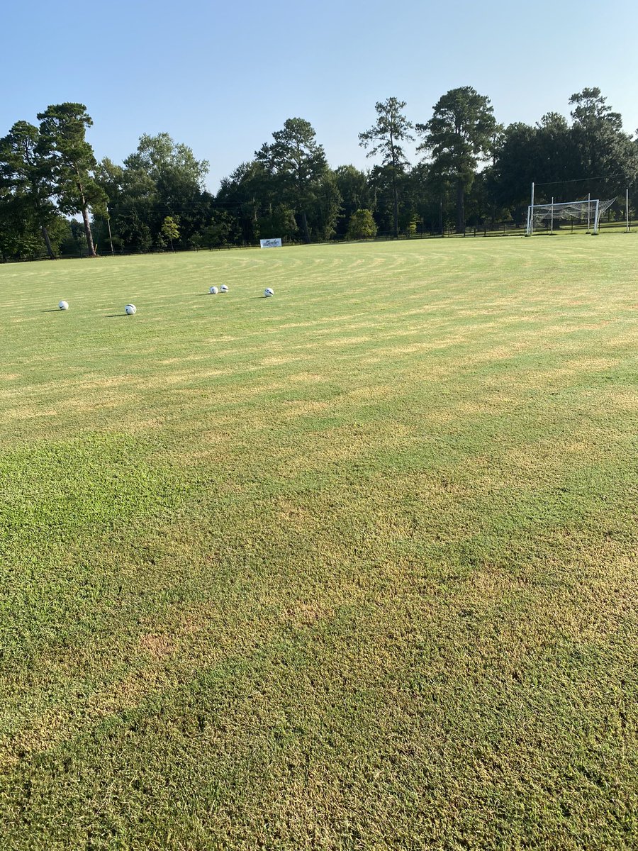 USCSumterSoccer's tweet photo. Our first season is underway! Who is ready for some Fireant soccer?? Schedule to be released soon, stay tuned! #antup #njcaa #womenssoccer @USCSumter https://t.co/B4bnGGX7vw