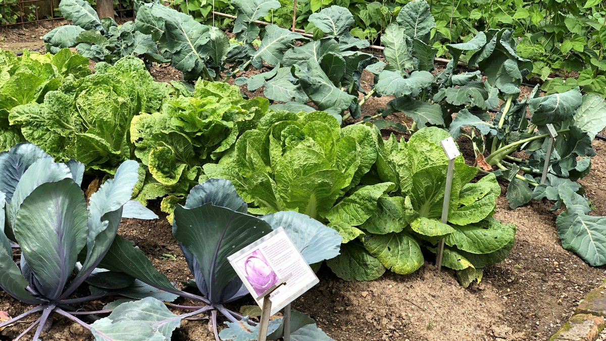 Château Neercanne (@Rest_Neercanne) / Twitter