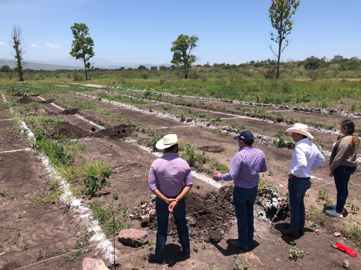 cncqueretaro's tweet photo. Con mucho entusiasmo les compartimos que estamos trabajando un espacio en donde se fusione la riqueza de las familias productoras y artesanas de nuestro estado, para comercializar sus productos en el mejor punto de REencuntro en Querétaro. @CNC_CEN @hernandezderas @ChuchoQro https://t.co/LuJbrZd7lo