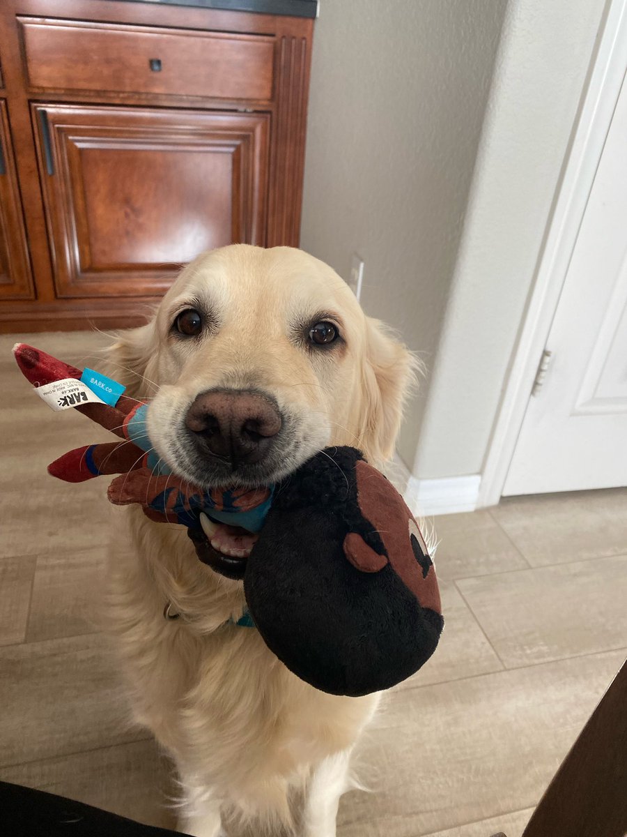 mfdSam's tweet image. Not championships or MVPs, it’s when you are the FAVORITE dog toy that you know that you made it in the world @KingJames @barkbox
