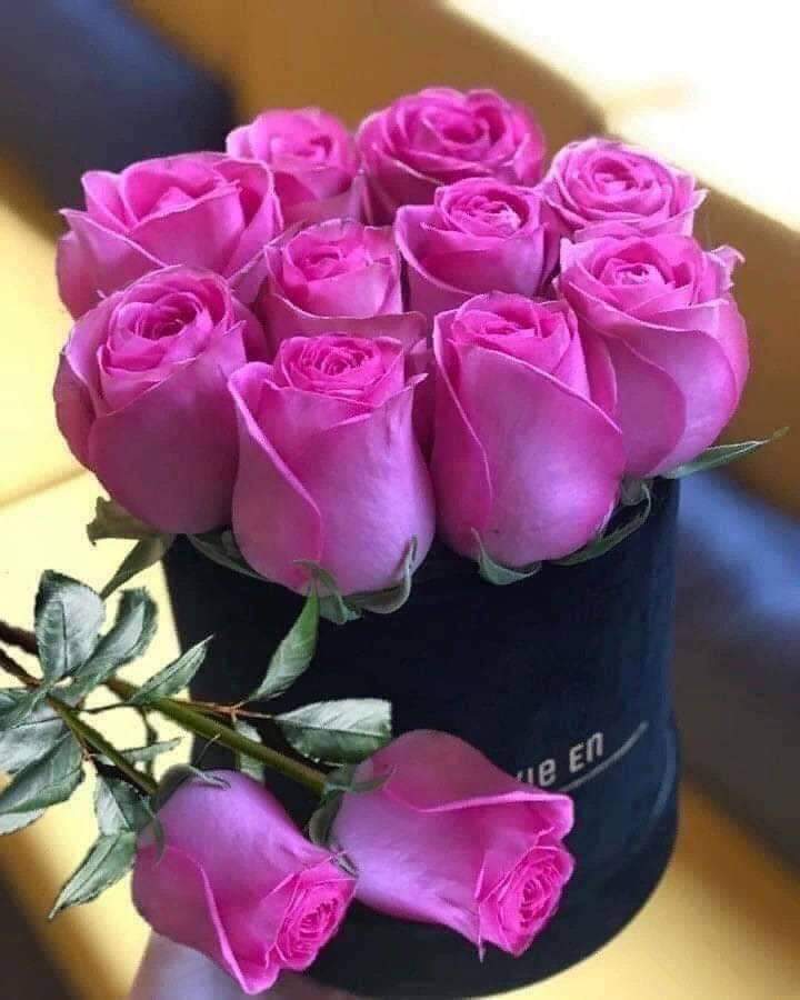 <a href="/dodo28795489/">princess Dodo</a> 
مساء الورد والسعاده على عيونك يارب 🥰🥰🌹🌹🌹❤️❤️🌹🌹