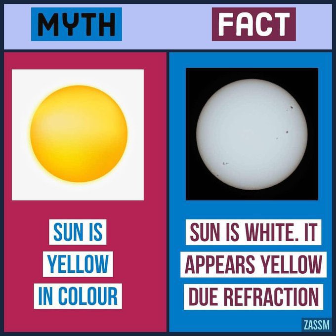 mythsvssfact's tweet image. 