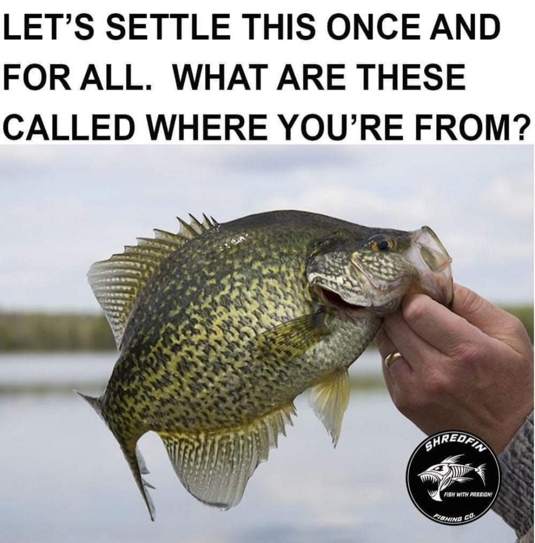 BassReaper Bait Co tweet media
