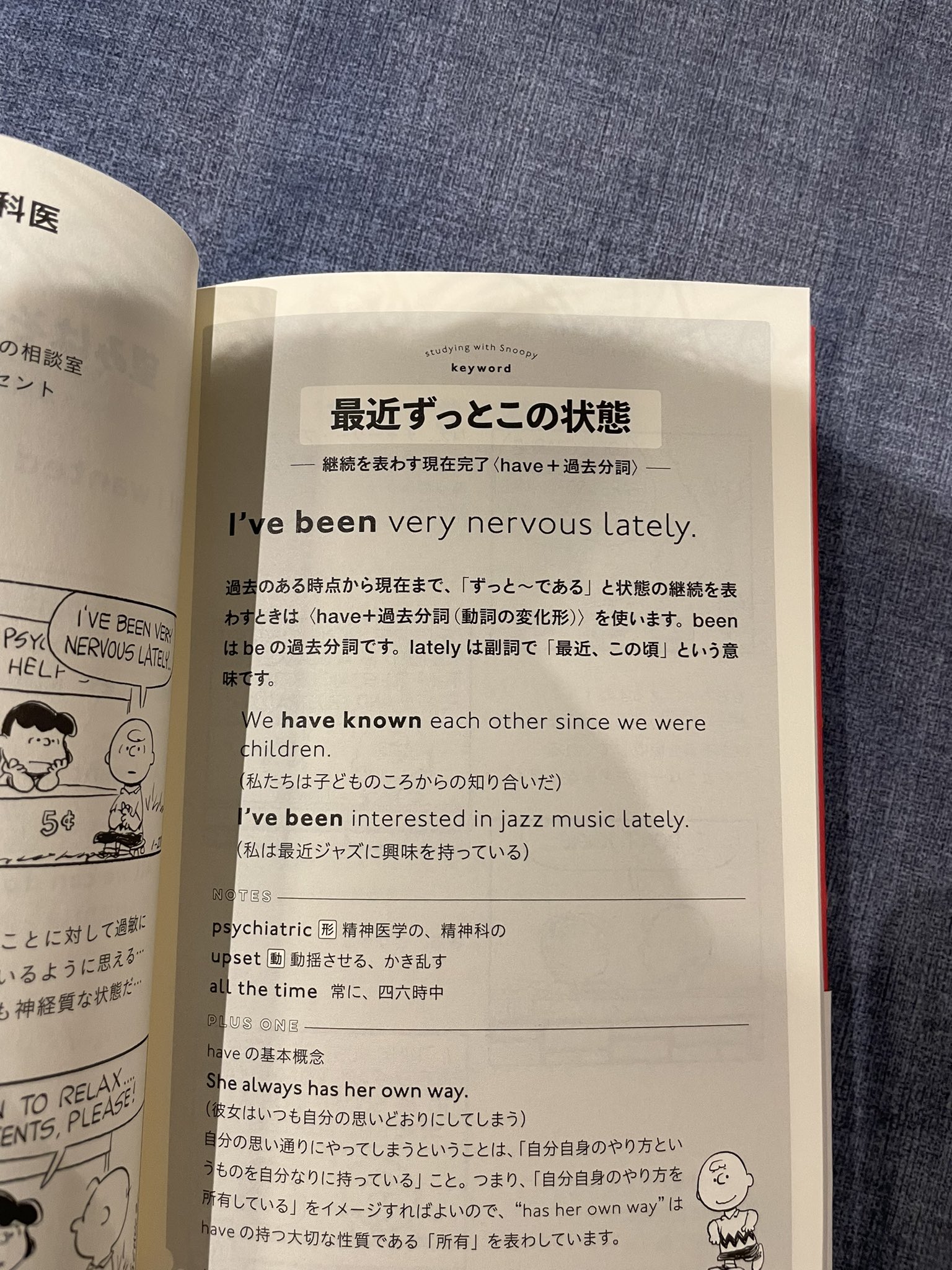 تويتر Kanta على تويتر スヌーピーと英語 渡米前にこういう本をもっと勉強していけば良かったなと思う T Co Osbu9qe19o