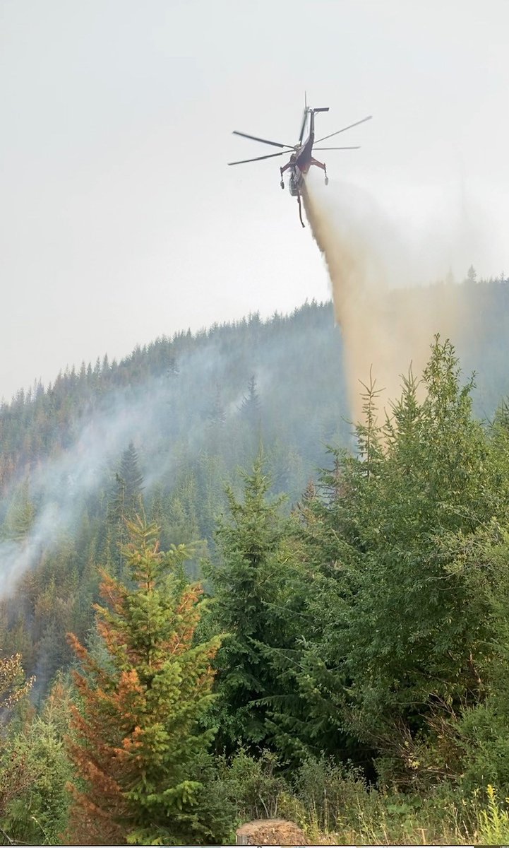 IdahoLands's tweet photo. #LelandComplex Update 8/2/21 https://t.co/SmrDLGYk9a #SandMountainFire #JohnsonCreekFire #IDLfireinfo #FireYear2021 https://t.co/V14BZIErf2
