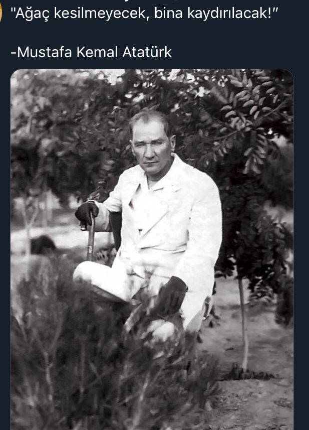 simay kalyun (@kalyunsimay) on Twitter photo 