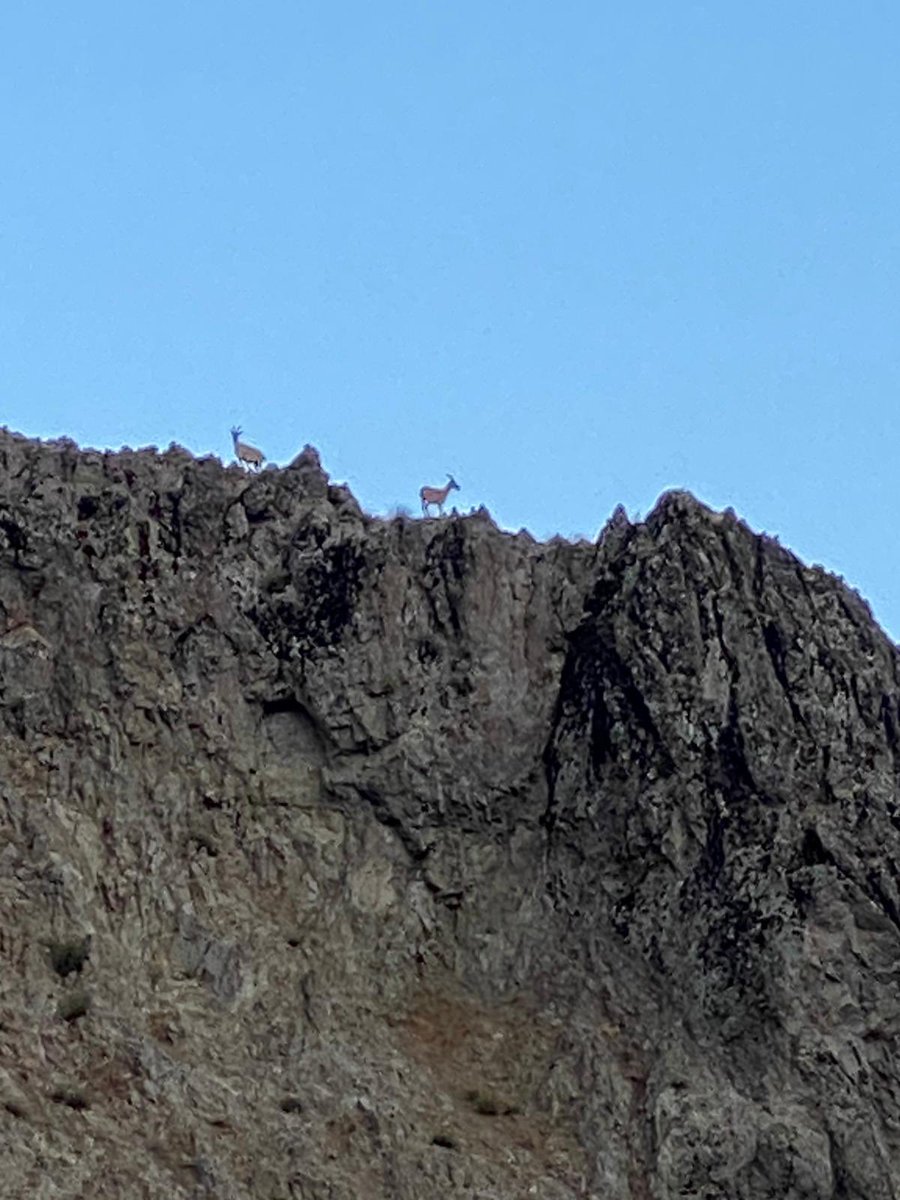 Canlarım benim ❤️😁