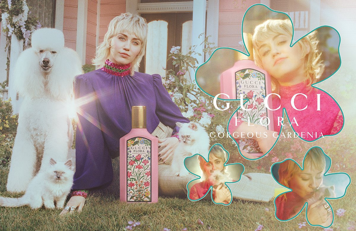 Mileyiris2 tweet picture