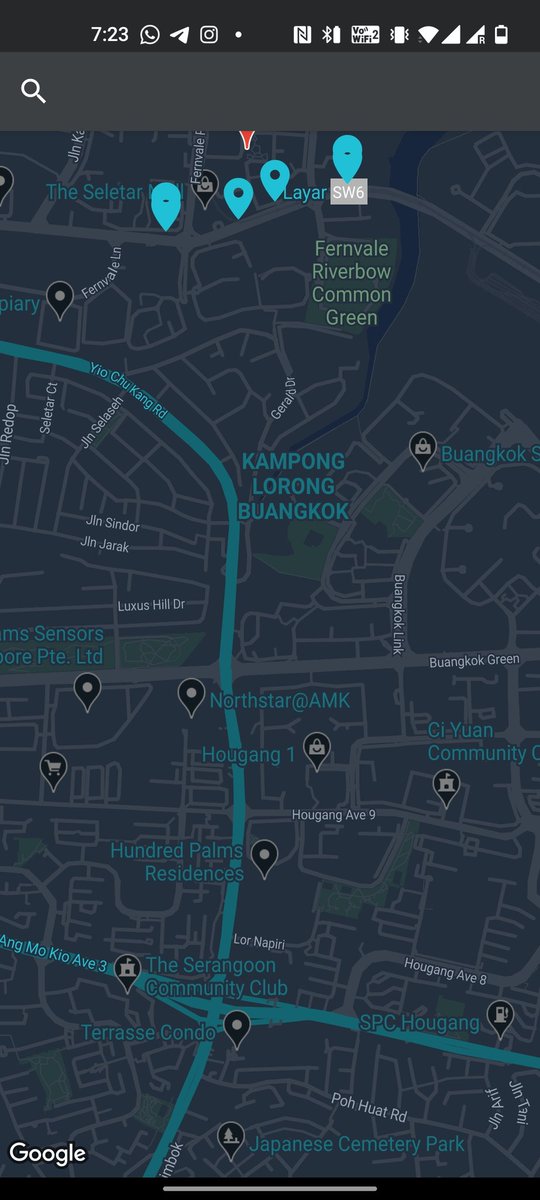 liccowee tweet media