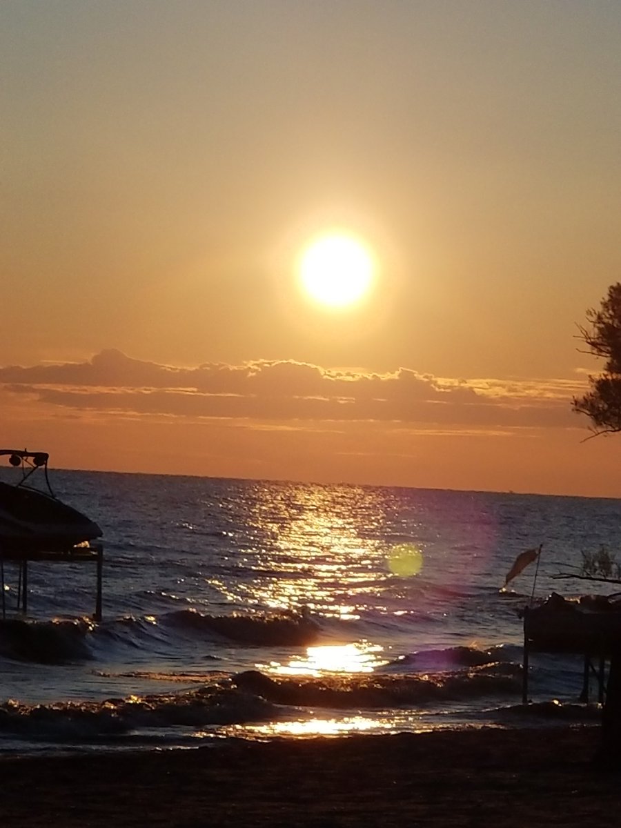 RareCat's tweet photo. The Good Lord can make you anything you want to be, but you have to put everything in his hands. -Mahalia Jackson 
#Trust #Thankful 
#TyBrotherBarry 
#GodBlessAllWhoReadThis 
#Sunrise🌞
#HaveAGr8Week #HappyAugust
☮❤ https://t.co/VgamKBarZQ