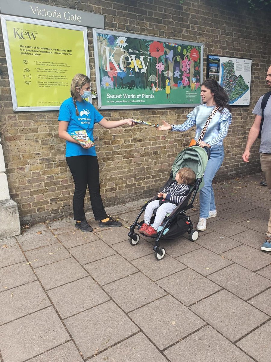 This weekend saw us at Kew Gardens in London, just outside London Zoo in Regent’s Park, and on Brighton’s buzzing pier. The Summer holidays are in full swing, and we were so excited to bring Animal Planet to so many families on their fun-filled day out! #Summer #AnimalPlanet