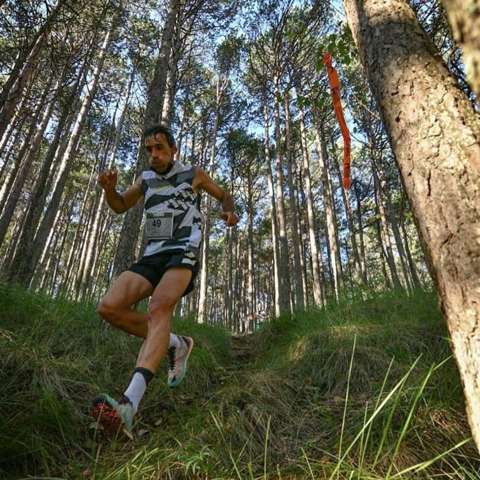 Luis A. Hernando tweet media