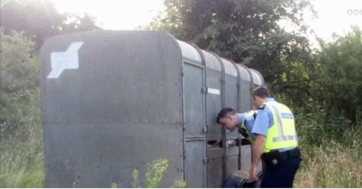 catlowry54's tweet photo. Sometimes to create empathy we really have to walk in another’s shoes or in this case,step inside this aluminium cattle trailer when it’s 25 degrees outside &amp; imagine how helpless and stressed these dogs felt. Now imagine the type of person who put them there?#craiglovett https://t.co/QzsrZCdYWT