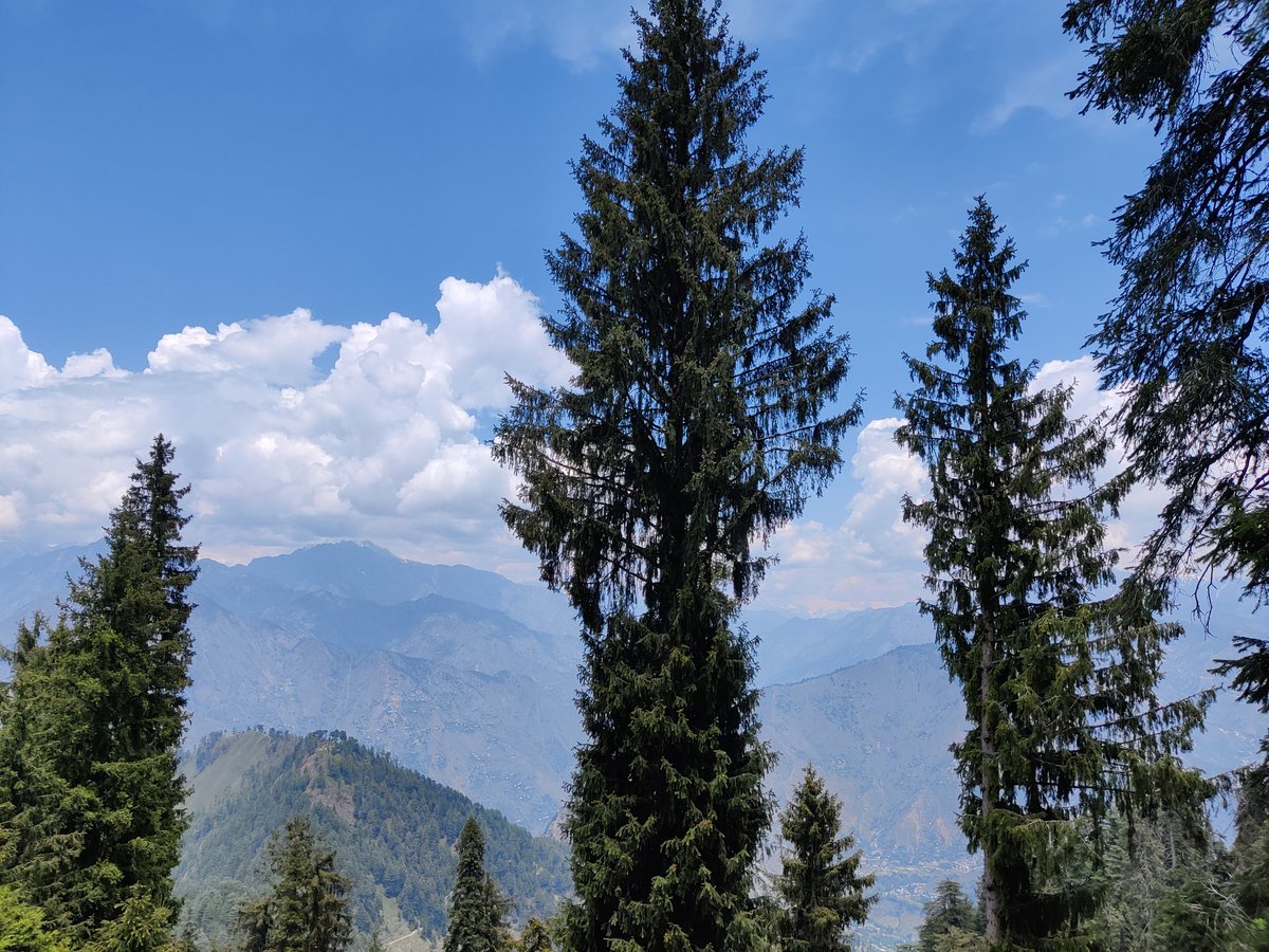 servemotherland's tweet photo. Beauty of Kashmir 

#RedForKashmir
#GreenForKashmir
#WindsOfChange 
#SofieKashmir 
#KashmirLovesGreen
#KashmirBleedsGreen 
#YomEumeed https://t.co/55ChXE0vML