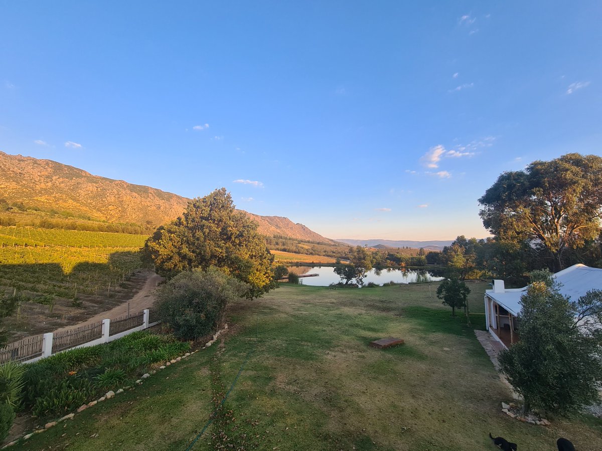 A fine dam morning!
#farmlife #southafrica #nature #theoutdoors #landscape #dam #guestfarm #weddingvenue #travel #adventure #views #karoo #koovalley #bassfishing #cottage #holidays #chilled #getaways #cottages #selfcatering  #hottubs #horseriding🐴