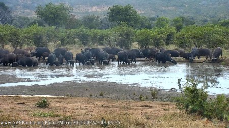 SANParks tweet picture