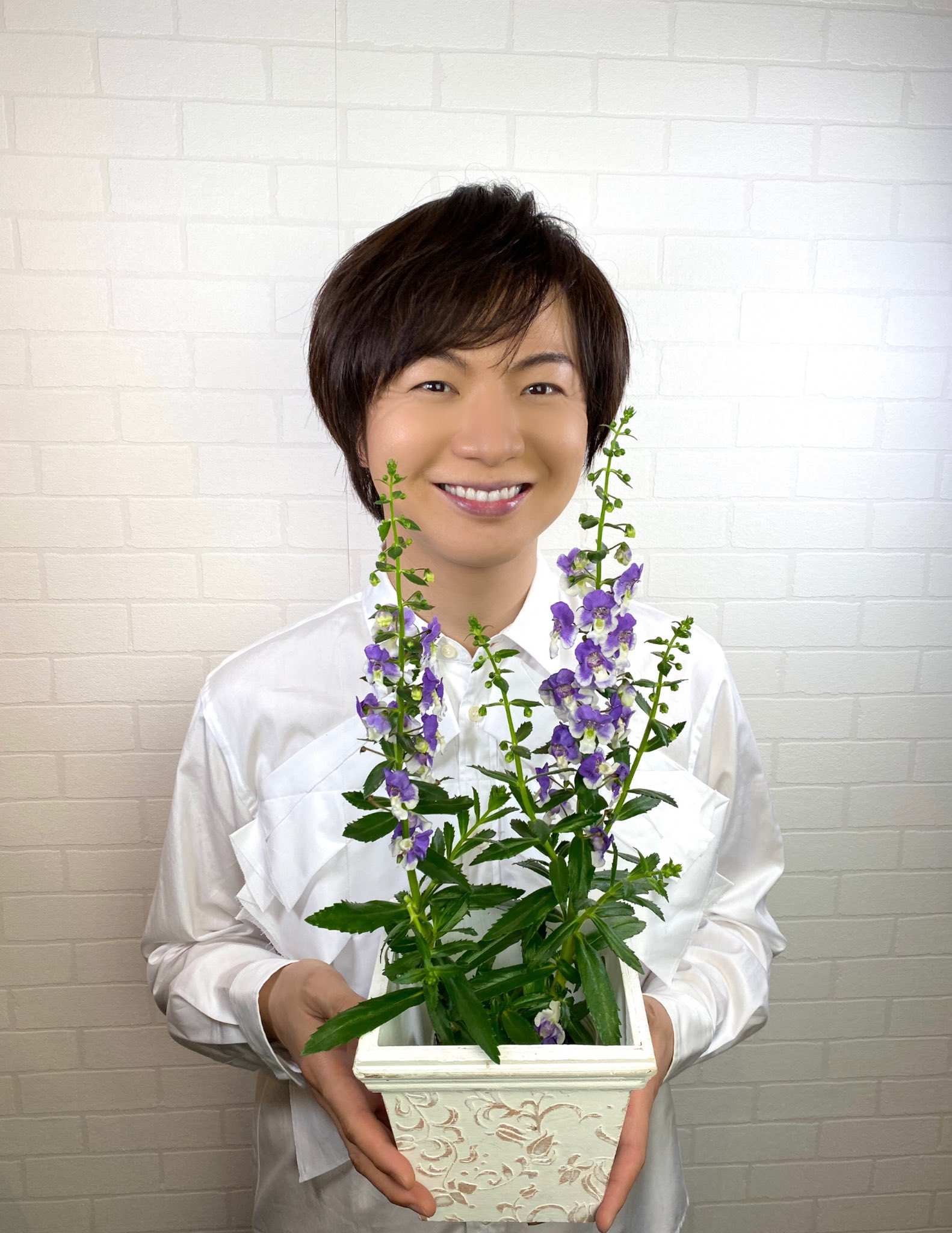 竹島宏スタッフ 公式 アンゲロニア エンジェルフェイス 花言葉は 片思いの恋 別名 エンジェルラベンダー 天使のように見える可愛い花 次々と花が咲きますよ 今日も１日お疲れ様でした ひろネット 花便り 花言葉 花 花を贈ろう 感謝