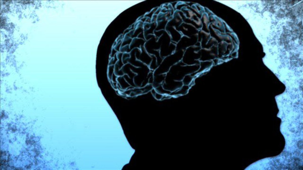 Eat brain. Музыкальный мозг. Мозг музыка ДНК.