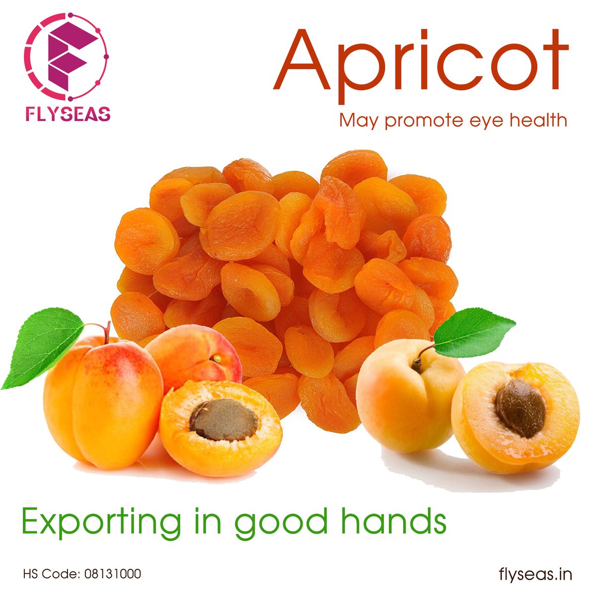 Flyseas1's tweet photo. #Apricots are stone fruits that are very nutritious. The Apricots exporter in India exports apricots to almost 95 countries in the world. The combined value of the total Apricots export from India is around 27.97 USD million. 
#bestQualityApricots #ApricotsExport #ApricotsImport https://t.co/Ce7ZxPtFK3