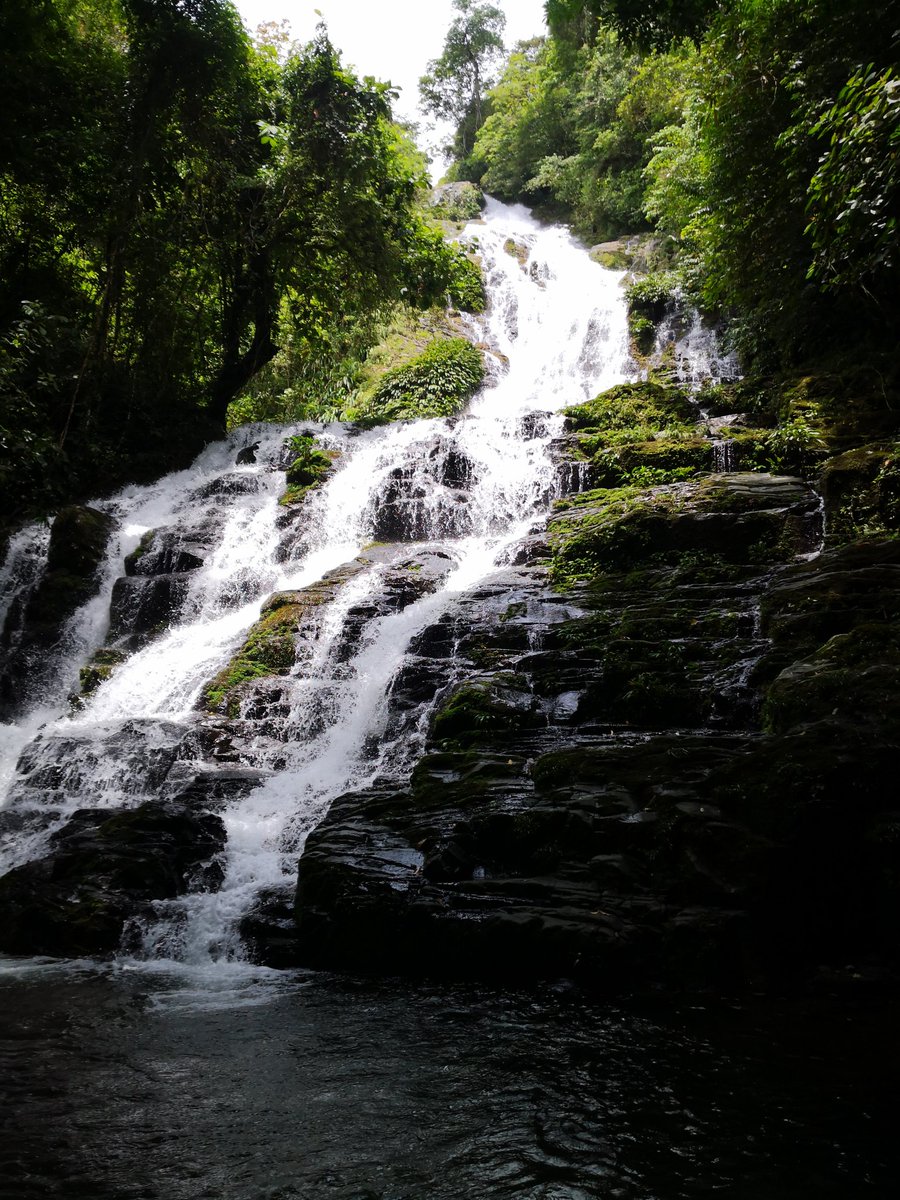 WapinJoe's tweet photo. Lo admito, estoy molido, eso de andar subiendo cerros demanda condiciones pero maldita sea, valió la pena.. Panamá es hermoso!!!! https://t.co/W9M6FzMmqZ