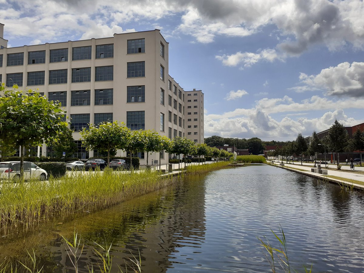 Urlaubsflair am NINO-Hochbau. 
Wer beim Ausflug durch die Grafschaft noch ein regensicheres Ziel sucht: Wir haben Di-So für Euch geöffnet, ohne Anmeldung, ohne Test, 1.OG links.
#museum #nordhorn #photography  #fashion