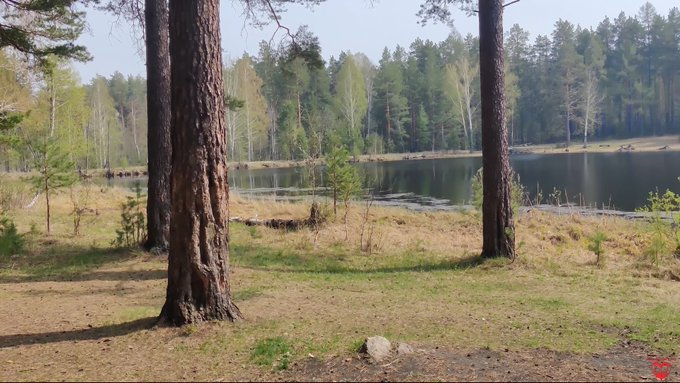 We went out into nature🌞🏄&zwj;♂️🌎🐚 Have a rest and have fun 🥰😍 @pornhub @modelhub  https://t.co/GyVHoZOVWx