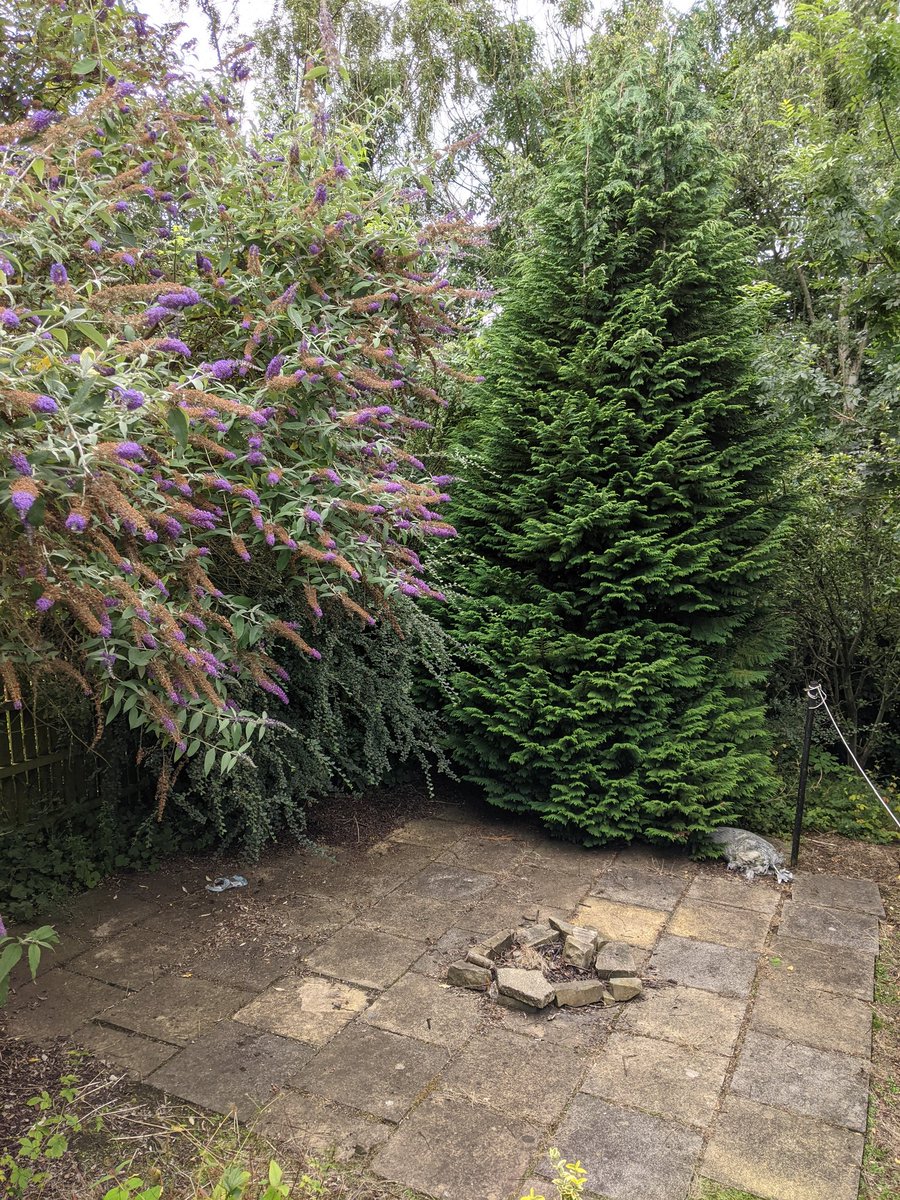 Durham University Beekeeping Society tweet media