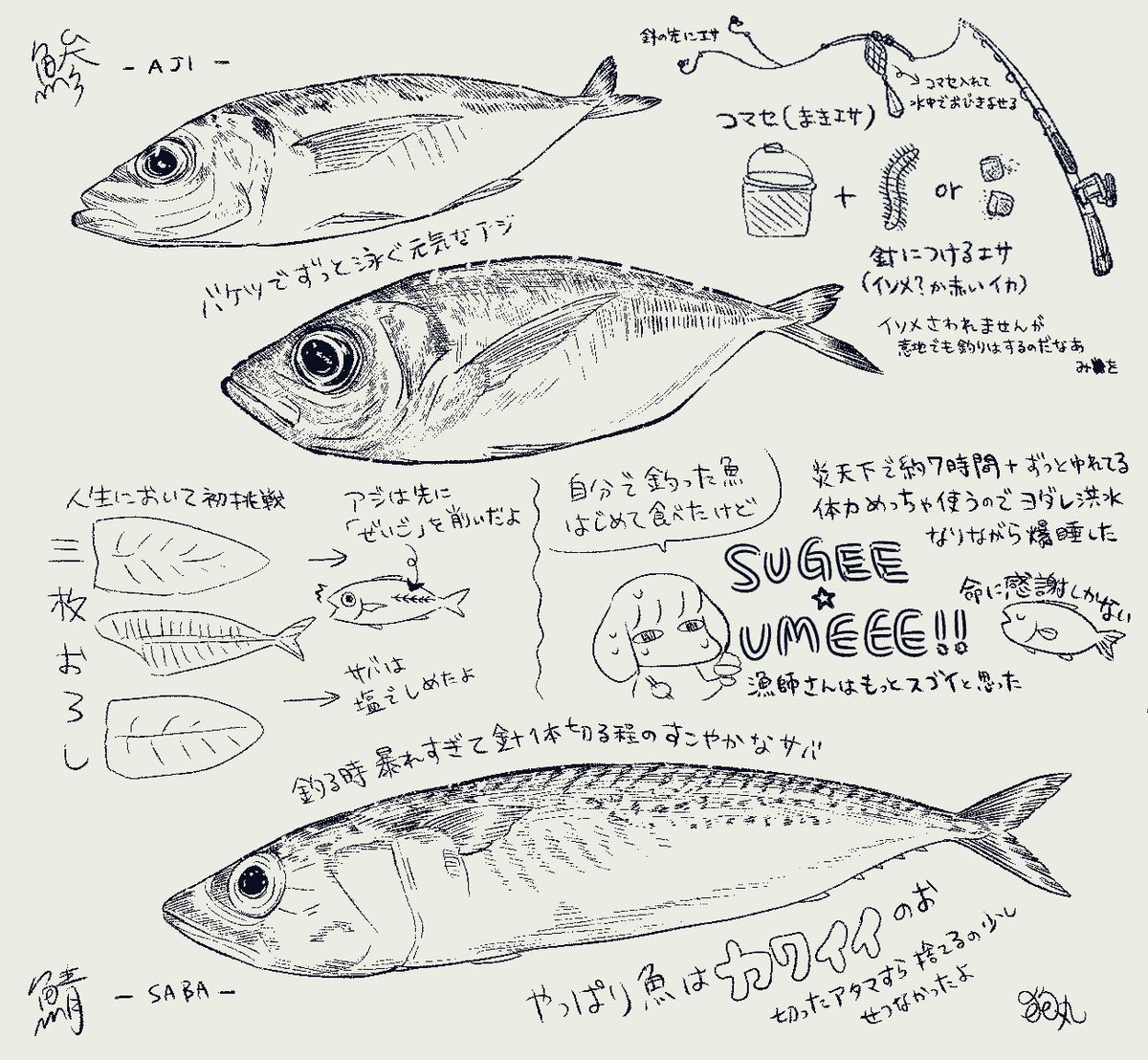 Twoucan 魚 の注目ツイート イラスト マンガ コスプレ モデル