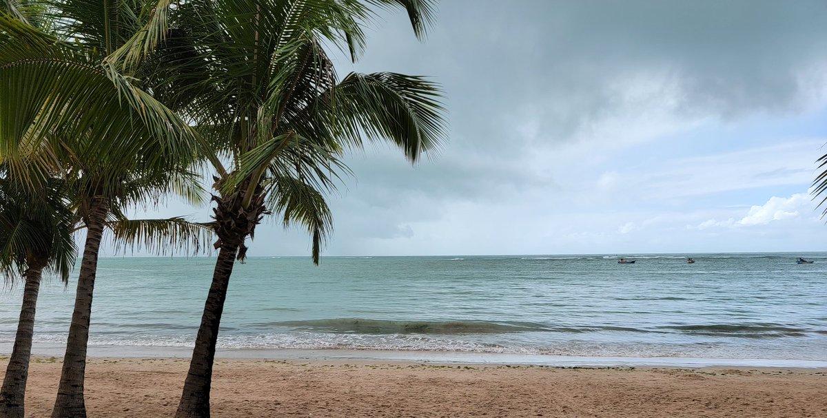 Life Center Academy Boys Soccer tweet media