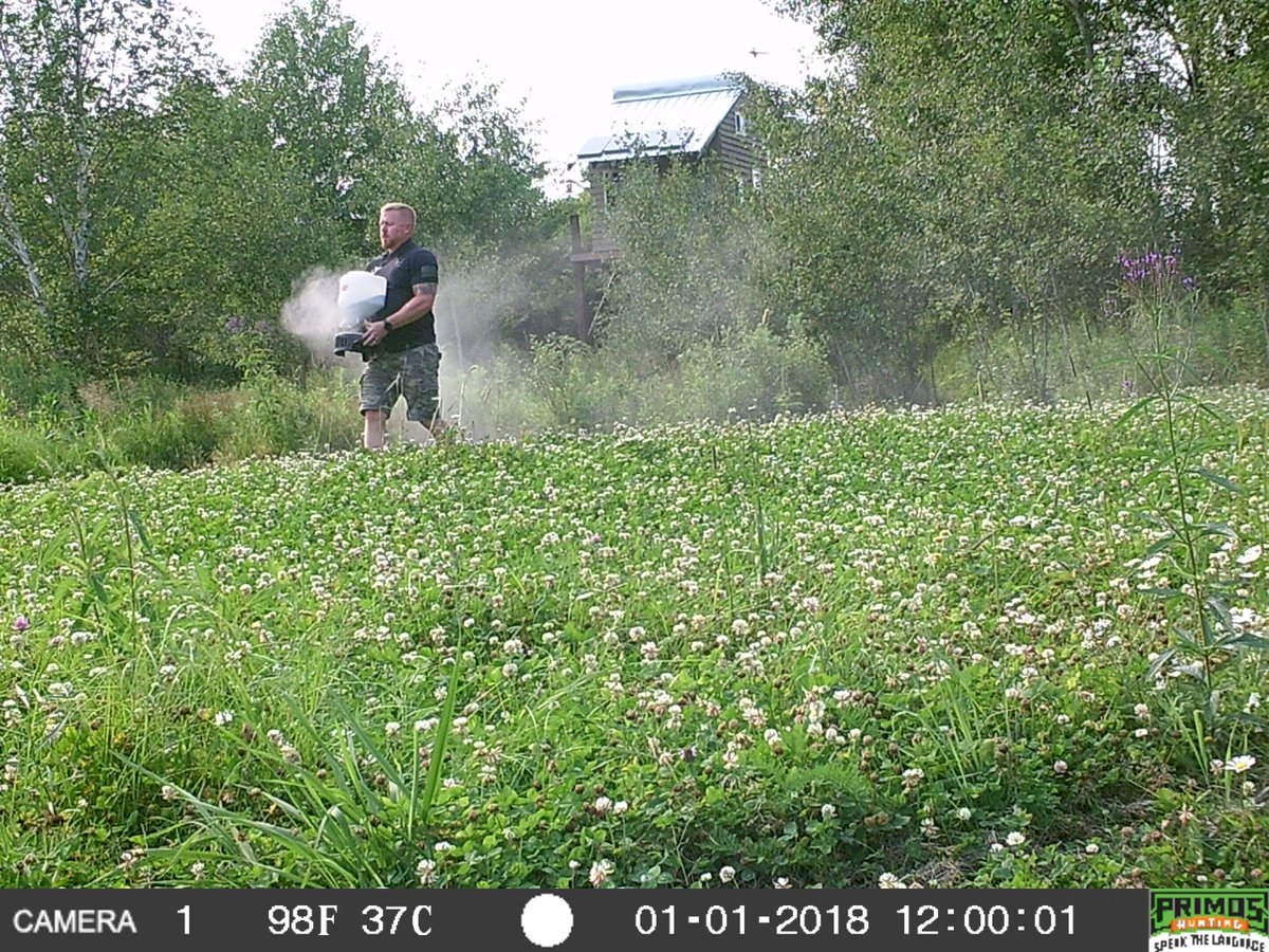 MidwestLandGuy's tweet image. You should fertilize your clover plots at least twice a year, once during the spring and then again during the fall. I like to use 10-10-10 at 10-15lbs per acres and Pell lime at 50lbs per acre. #foodplots #hunting #foodplotmanagement #wisconsinhunting #clover