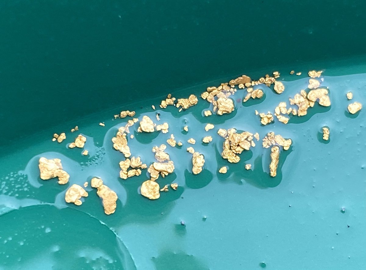 Hovercraft History Hunters tweet media