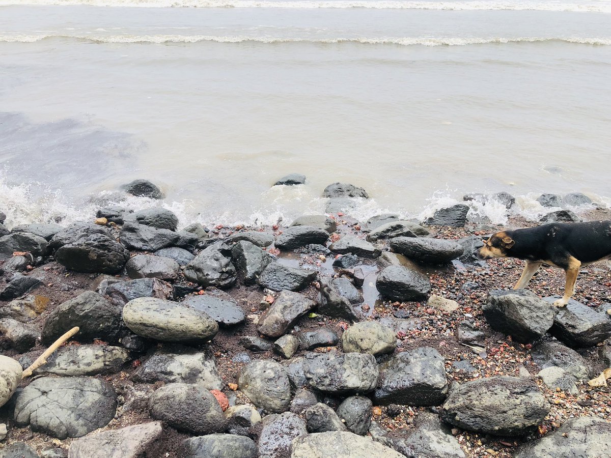 ImranBepari's tweet photo. Visited to Kashid beach last weekend and felt like we are actually on rigs working on oil fields witnessing huge petroleum waste there… just worried what’s going to be future or our beaches. https://t.co/oM4e4kc50S