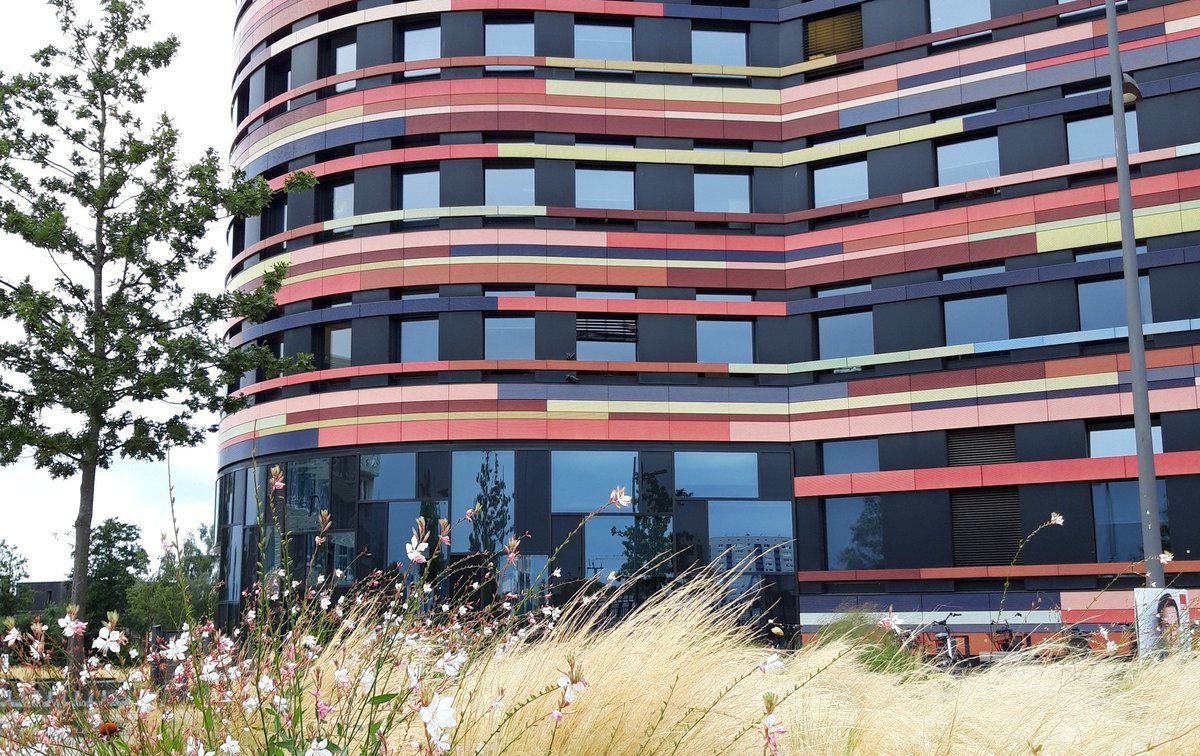 RPinzke's tweet photo. Mein neuer Arbeitsplatz. Ich sag nur: Mega. Und für diese großartige Behörde @fhh_umwelt darf ich nun tätig sein 💚 Ich freue mich sehr über meinen neuen Chef @JensKerstan , auf mein neues Team und auf diese so wichtigen Themen! Ein Rundum-Glücklich-Paket also 😊 https://t.co/TNt8MmrAr1