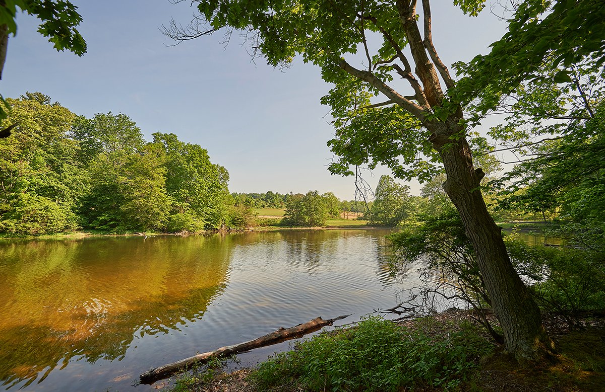 Westtown School on Twitter "Westtown Lake has many stunning views