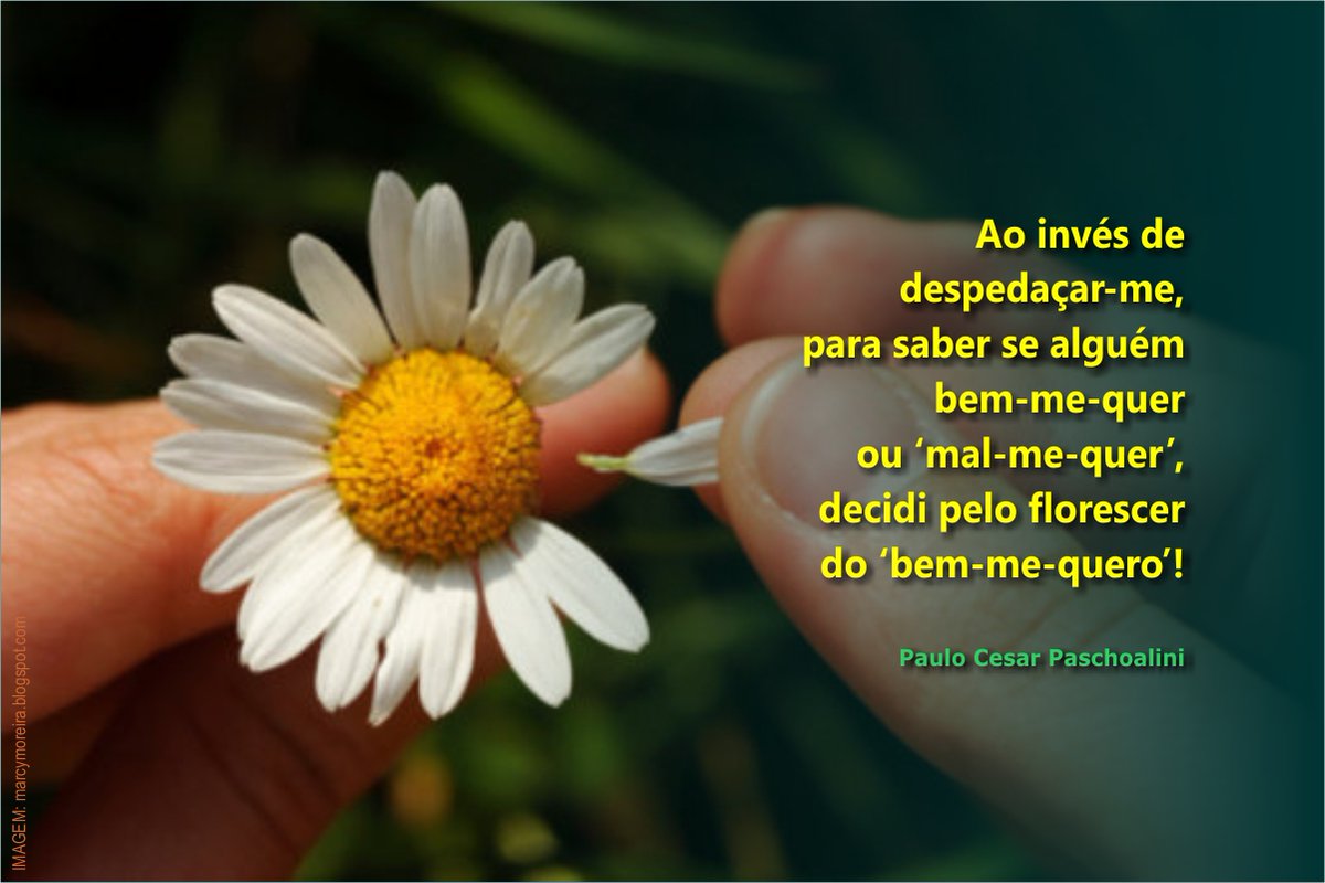 PaschoaliniPc's tweet photo. BENQUERER:
.
Ao invés de despedaçar-me,
para saber se alguém
bem-me-quer
ou ‘mal-me-quer’,
decidi pelo florescer
do ‘bem-me-quero’!
.
(Paulo Cesar Paschoalini)
Para ler suas publicações, acesse:
https://t.co/q3txDXNgtf
.
#pirafraseando - #paschoalini - #benquerer https://t.co/GnBEshp67O