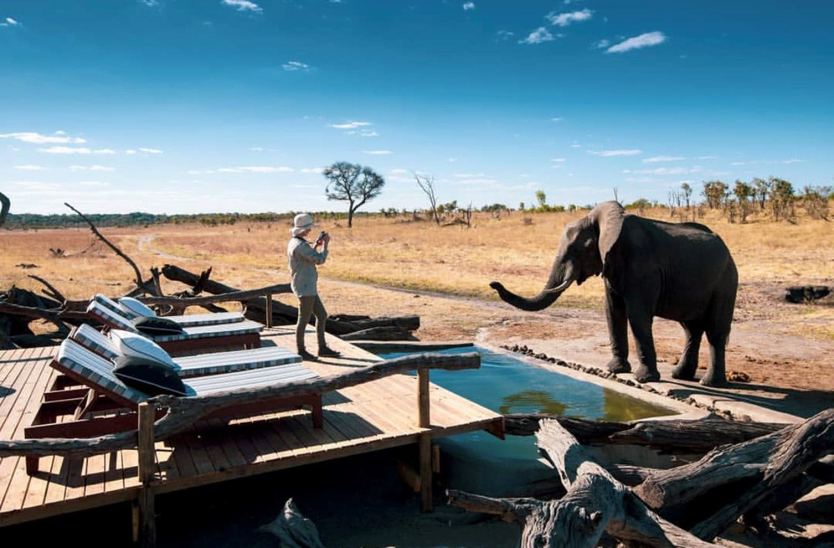 Giltedgetravel's tweet photo. No Monday blues with views like this! π
#africa #travel #Zimbabwe #travelgoals #safari #giltedge https://t.co/01K6GpcIkd