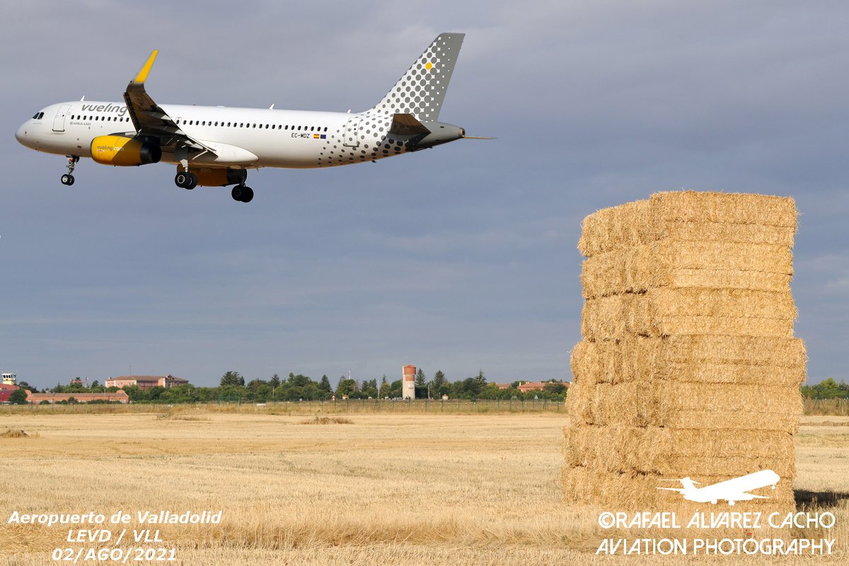 AlvarezCacho's tweet photo. Primer vuelo de la mañana de hoy en @AeropuertoVll El @Airbus A320 de @vueling VLG103N /VY1584 a punto de aterrizar en la 23 desde Barcelona. El #AirForceJuan pudo ver que la cosecha de cereales está recogida y la paja bien empacada. #EstoesCastilla #BuenVueling y #BuenaCosecha. https://t.co/rdOvRnYeRh