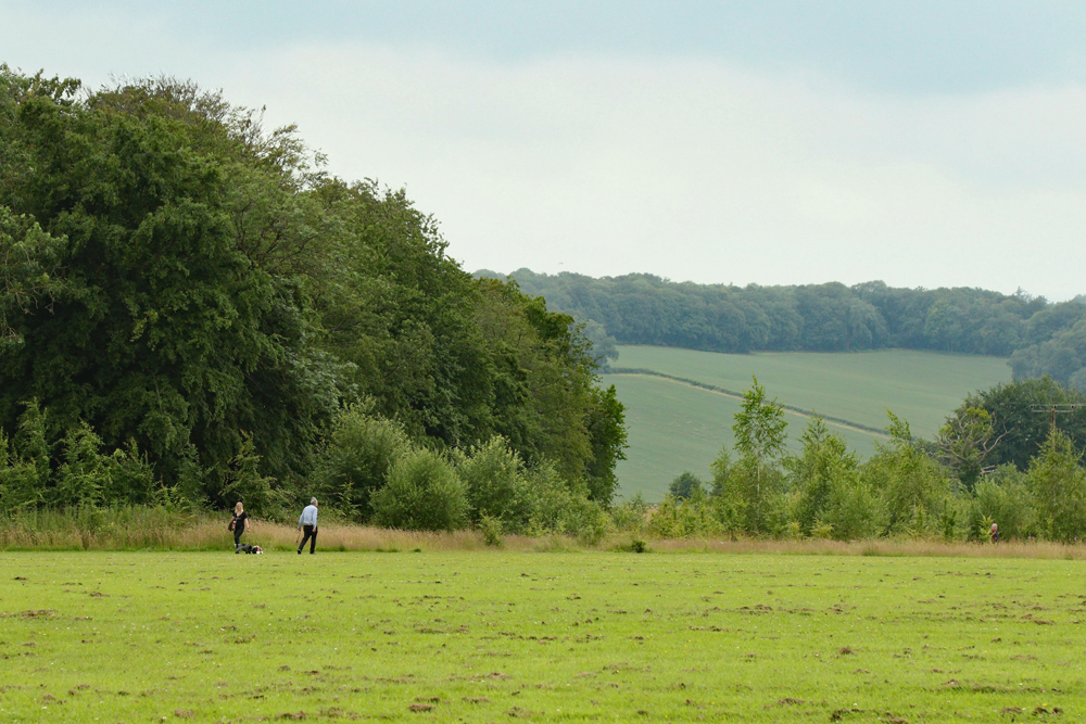 Amershammuseum's tweet photo. Peaceful view over the #Misbourne Valley on a walk from #LittleChalfont to #Amersham #visitbucks #visitchilterns https://t.co/LbMK00W73I