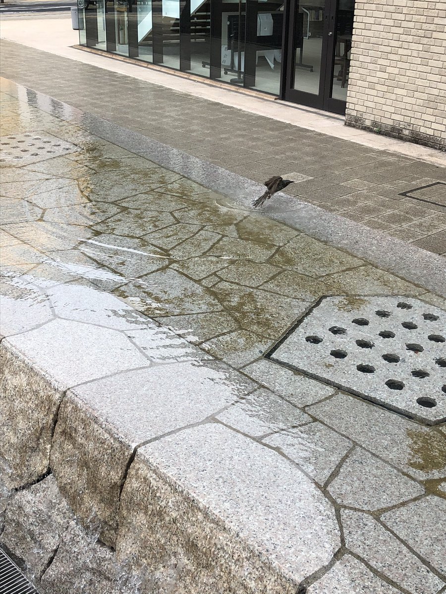 リモデル不動産 On Twitter 飯田橋駅近くの富士見教会広場で 水音 聴きながら涼しさ を満喫しました 短くブログ を書かせて頂きました 弊社のホームページのブログの欄に本日付けでアップしてあります 良かったらご覧下さい Https T Co Litu4emuya 飯田橋