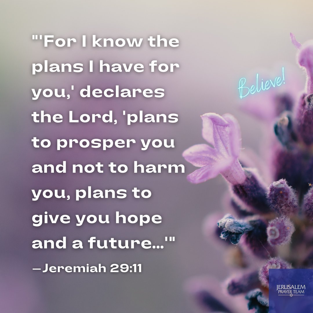 jerusalemprayer's tweet image. "For I know the plans I have for you," declares the Lord, "plans to prosper you and not to harm you, plans to give you hope and a future..."
—Jeremiah 29:11

#TrustInTheLord #Matthew6v33 #Believe