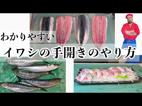 تويتر 三宅水産 築地 築地の健吾 على تويتر 毎度 魚屋チャンネル更新されました 今回はイワシの手開きをわかりやすくやらせて頂きました 是非参考にしてみて下さいー 築地 魚屋 イワシ 鰯 刺身 手開き Tsukiji Fishmonger Sardine Sashimi Youtube