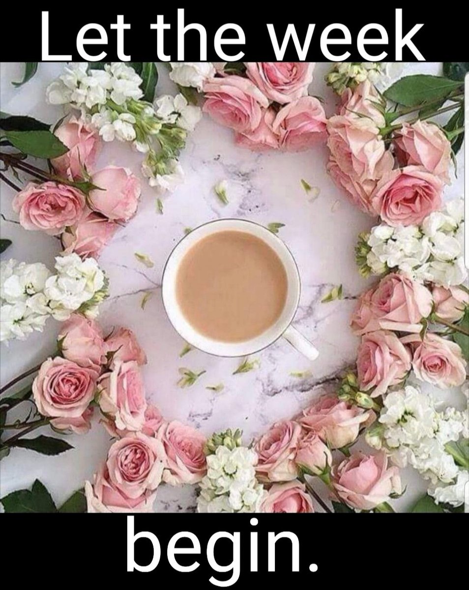 CSprite3's tweet image. Good morning, friends🌺 Let's get this busy week started. It's time to work for your dreams again. Don't let one failure knock you down. Get up, dust yourself and keep moving. Hesitation and fear may stop us but  determination and courage will keep us going. Enjoy your day❤❤