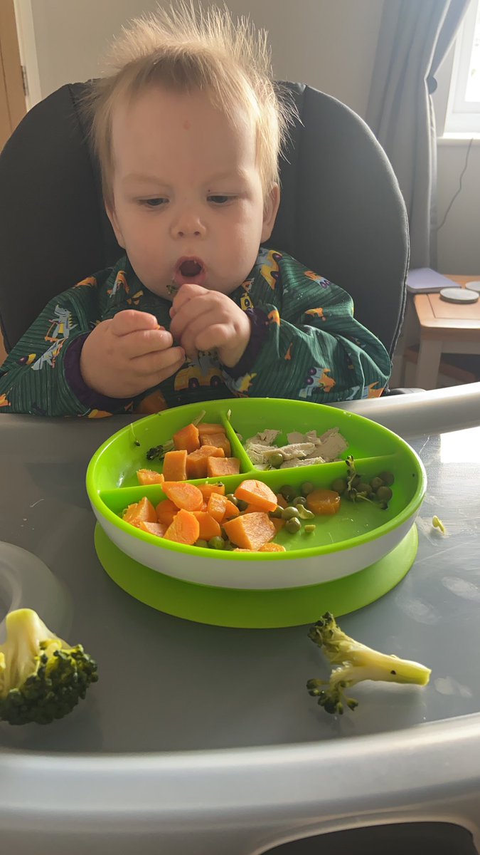 DaniCrisp92's tweet photo. Loves his veggies 🥕 🥦 https://t.co/NdXetXye3J