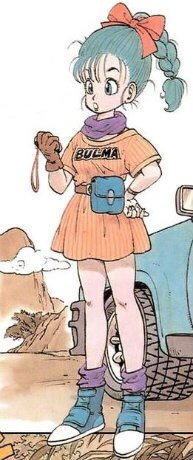 ブルマ(ドラゴンボール) 「this is what the fashion world has been 」|TAHK0 ☕️のイラスト