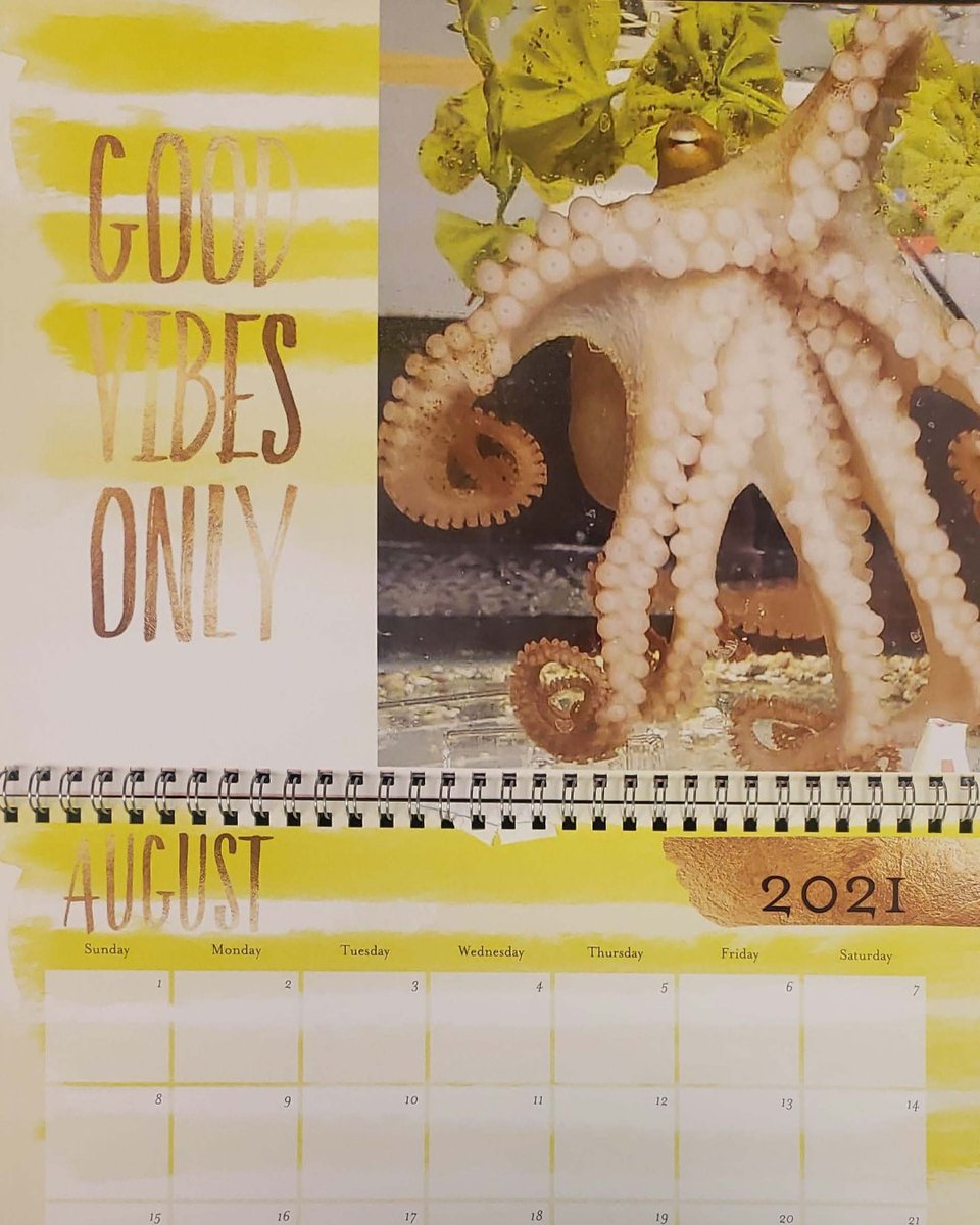 Happy August! We can thank the good weather for some good vibes this summer. Our octos can thank us for keeping their water a balmy 60 degrees year round 🐙📅
