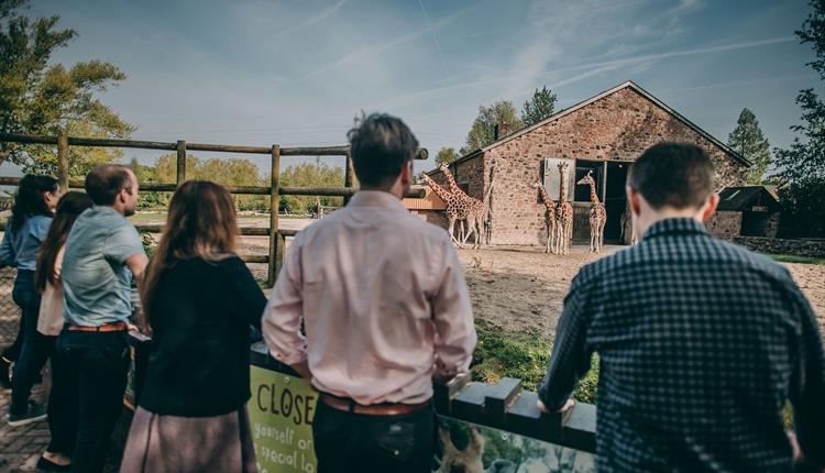 mcr_conf's tweet photo. Unique Experiences at @chesterzoo 

Animal and dining experiences, summer outdoor events and Christmas parties. Inspire your team or networks by arranging a meeting or conference in the stunning surroundings of Chester Zoo.

More info: https://t.co/70nztgyrhl

#spacetomeet https://t.co/7J1q9rbLDI