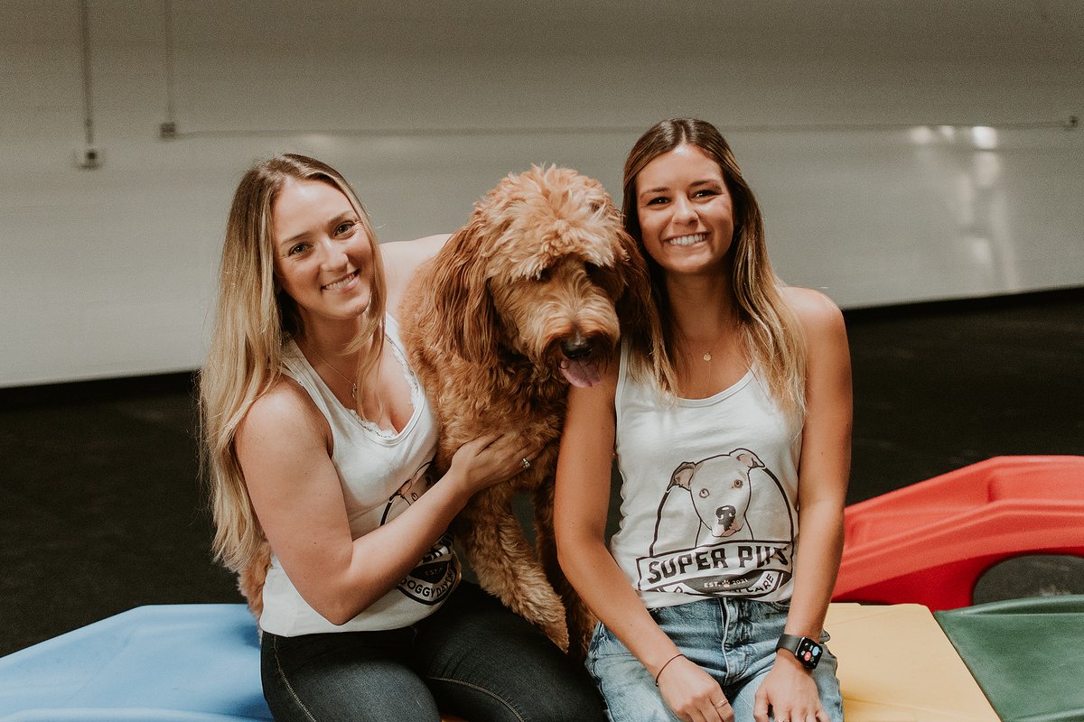 SuperPupsConshy's tweet photo. Super Pups is the premiere doggy day care for your canine companion! 🐶

Click here to learn about our Monthly Membership &amp; Drop In Daycare options: https://t.co/bkRO3yUM2m https://t.co/ZmuEym1Tqn