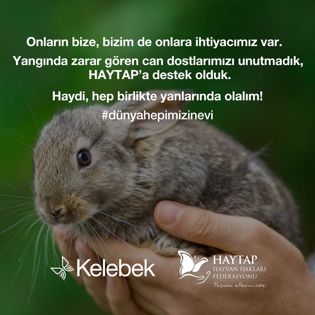 Onların bize, bizim de onlara ihtiyacımız var. 

Yangında zarar gören can dostlarımızı unutmadık, <a href="/HaytapOfficial/">Semtiemt</a>’a destek olduk.

Haydi, hep birlikte yanlarında olalım!

#dünyahepimizinevi #kelebekmobilya #geçmişolsuntürkiye #prayforturkey