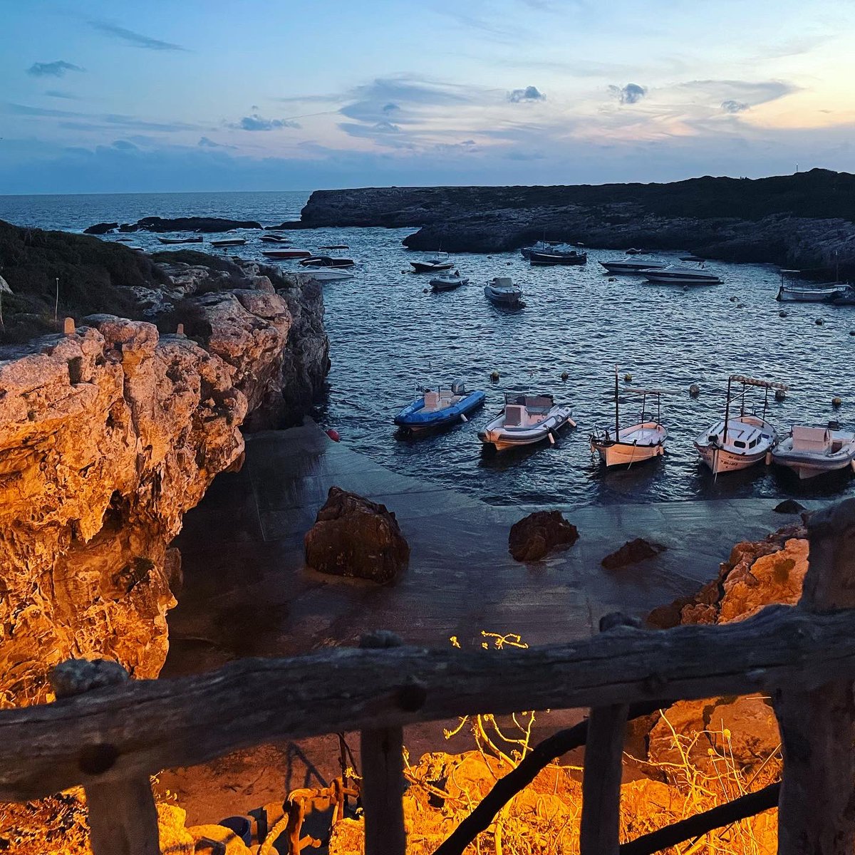 Emily Sarsfield tweet media